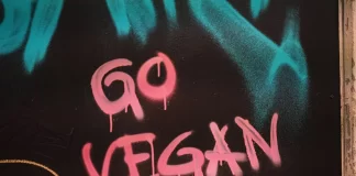 Beste plantaardige kipnuggets die je moet proberen