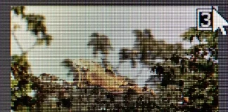 Wat is het verschil tussen JPG en JPEG, uitgelegd