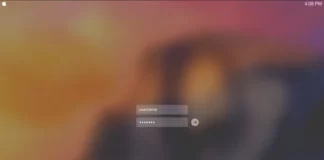 Hoe opgeslagen wachtwoorden op Mac te vinden uitgelegd