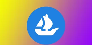 Hoe word ik geverifieerd op OpenSea?