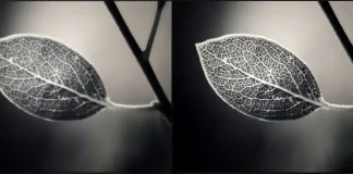 Wat is de scherpte-instelling op een tv